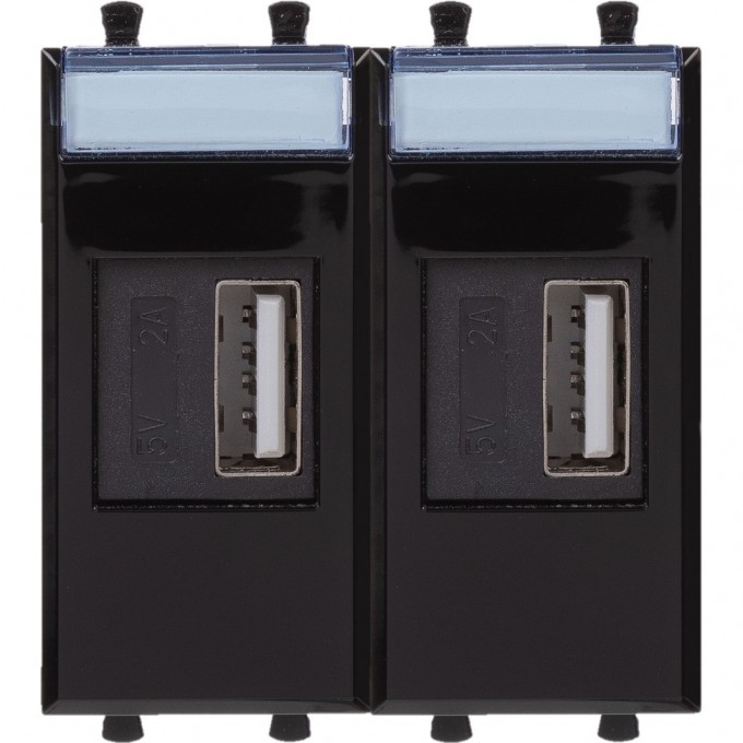 Зарядное устройство USB DKC модульное, "Avanti", "Черный квадрат", 2 модуля 4402542 Зарядное устройство USB DKC модульное, "Avanti", "Черный квадрат", 2 модуля 4402542